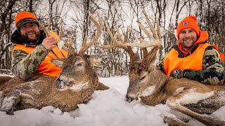 Epic Late Season Whitetail Hunting Below ZeroSnow DriftsHundreds of Deer [upl. by Zamora]