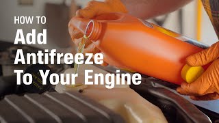 How to Add Antifreeze To Your Engine [upl. by Relluf]