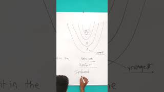 Antiform or Anticline 🧐🤔🤔🤔 [upl. by Sobmalarah]