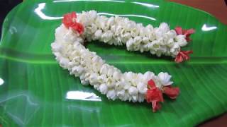 ದುಂಡು ದುಂಡು ಮಲ್ಲಿಗೆ ದಿಂಡುMallige Dindu Learn to String Jasmine Garland [upl. by Aenyl925]