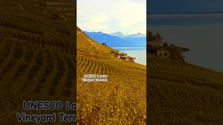 UNESCO Lavaux Vineyard Terraces Lausanne Switzerland switzerland viralvideo shorts [upl. by Akemehc]