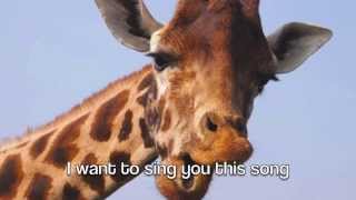 the mrbrown show the giraffe song [upl. by Nyre938]