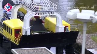 Waterhoen in Madurodam [upl. by Kiefer]