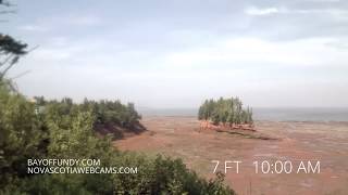 50ft tides in Burntcoat Head Park Nova Scotia [upl. by Larena540]