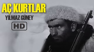 Aç Kurtlar Türk Filmi  FULL  YILMAZ GÜNEY [upl. by Ydneh760]