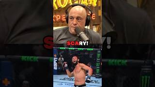 🔥Rogan on Khamzat DESTROYING Whittaker😱 [upl. by Baillie]