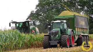 Fendt Kartana 65  Maisernte 2019  LU Walkling  Fendt  New Holland  Claas  Krone TX 560D [upl. by Cindi]