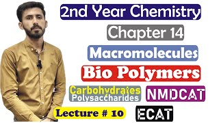 2nd Year Chemistry Chapter 14 Macromolecules Biopolymers Carbohydrates Polysaccharides Lec 10 [upl. by Ayot259]