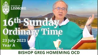 Catholic Mass Today 16th Sunday in Ordinary Time 23 July 2023 Bishop Greg Homeming Lismore Australia [upl. by Ynitsed]