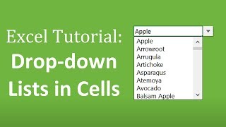 How to Create Drop Down Lists in Cells  The Complete Excel Guide [upl. by Greggory]