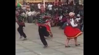 DANZA VICUÑA CHACUY DE TURPAY GRAU APURIMAC [upl. by Haleak952]