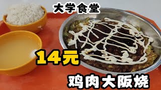 大学食堂里14元的鸡肉大阪烧，蛋液包菜和鸡肉用铁板现做煎制，再淋上两种酱汁，还挺香。【大学食堂81】——鸡肉大阪烧 [upl. by Rafter]