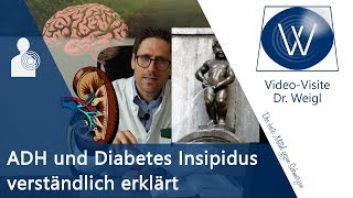 Ständiger Harndrang❗Diabetes Insipidus⚡ Probleme Antidiuretisches Hormon ADH Vasopressin vs SIADH [upl. by Eilama]