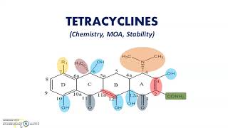 Tetracycline ChemistyMOA Stability [upl. by Mikel]