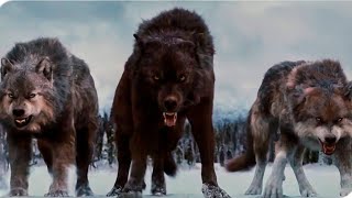 Born Among Wolves  Action Movie Full Length English   Full Action Movies HD [upl. by Anuahs]