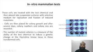 Genotoxicity and mutagenicity testing II Part 7 [upl. by Olmstead]