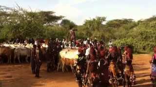 Lower Omo Valley  BullJumping Ceremony Of The Hamer Tribe in Turmi [upl. by Eirelav]