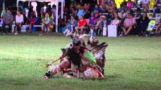 Oklahoma Indian Nations Powwow 2014 [upl. by Asiram]