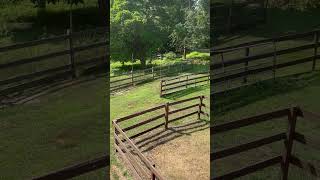 Hayloft view accidentalfarmer farming farmer  homesteading [upl. by Nelak]