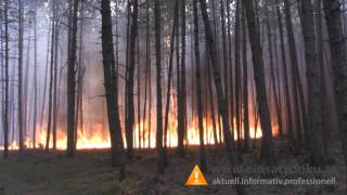 01082013 Waldbrand im Föhrenwald NK Tag1 [upl. by Grogan]