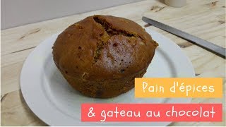 PAIN DÉPICES amp GÂTEAU AU CHOCOLAT SANS FOUR cuisson vapeur au ptit robinson [upl. by Navillus313]