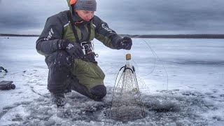 ПОСТАВИЛ ХАПУГУ НА ПЕРВОМ ЛЬДУ ЗДЕСЬ ТОННЫ РЫБЫ Первый лед 202425 Зимняя рыбалка [upl. by Welker]