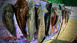 San Carlos Jigging Trolling Fishing Tournament [upl. by Shelli917]