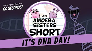 DNA Day 🧬  Amoeba Sisters Shorts DNADay [upl. by Nireves]