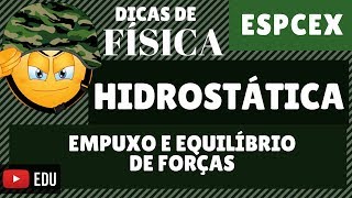 ESPCEX FÍSICA HIDROSTÁTICA  Resolução de problemas 11 de 100 [upl. by Eicarg]