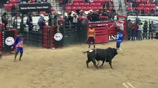 Indian National finals Rodeo Bull Rider Lane GrangerTuba city AZ Oct 2021 Las Vegas NV [upl. by Latsirc305]