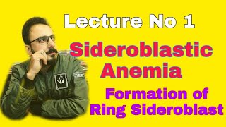 Sideroblastic Anemia Lecture 1 [upl. by Mauer440]