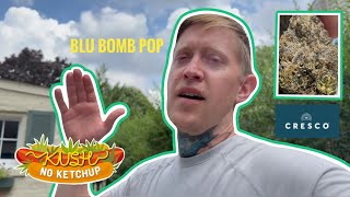 Blu Bomb Pop Strain Review [upl. by Illah]