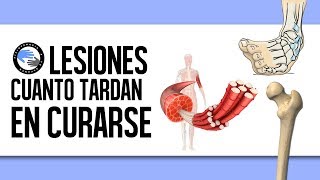 ¿Cuanto tiempo tarda en curarse una lesion [upl. by Inacana]