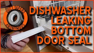 DISHWASHER LEAKING BOTTOM DOOR SEAL tutorial diy home kitchen [upl. by Hirz483]