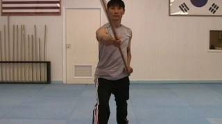 Martial Arts Bo Staff Techniques  Diagonal Strike from the Top  TaekwonWoo How to [upl. by Muryh]