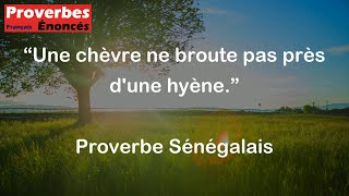 Proverbe Sénégalais  Une chèvre ne broute pas près dune hyène [upl. by Australia]