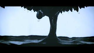 Max Cooper  Origins  Official Video by Rabbit Hole and Black Box [upl. by Bastian]