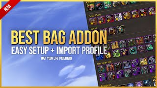 Best Bag AddOn Easy Setup  Import Profile  World of Warcraft The War Within [upl. by Eoj]