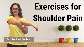 027 Fifteen Exercises for Shoulder Pain Impingement Bursitis Rotator Cuff Disease [upl. by Ahsilet898]