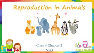 Reproduction in Animals  Module 26 Chapter 2  Olympiad Class 4 Science [upl. by Kinson621]