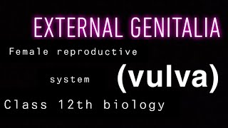 External genitalia vulva  Female reproductive system  class 12th biology  biology cbse [upl. by Burnham]