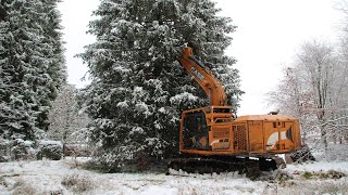 Weihnachtsbaum aus Küchelscheid für den König [upl. by Aes914]