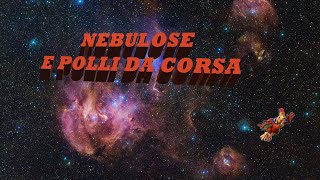 Nebulose e polli da corsa [upl. by Peh497]