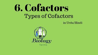 Types of Cofactors  Cofactors Class 11 Biology  Enzymes [upl. by Egidio]