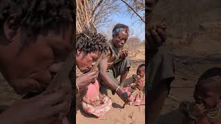 Bushmen bushmen roast meat [upl. by Malo]