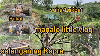 Ganito ang salangan ng Kopraang daming bunga ng suhalukbanhumina ang bukal ng kapitbahay [upl. by Tillo910]