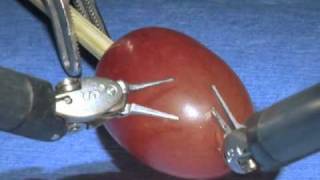 da Vinci Surgical System Surgery on a grape [upl. by Neehs]