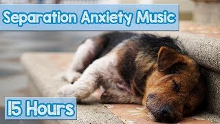 15 HOURS of Deep Separation Anxiety Music for Dog Relaxation Helped 4 Million Dogs Worldwide NEW [upl. by Ailad]