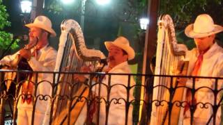 El Querreque con grupo jarocho en Coyoacán Ciudad de México [upl. by Flower]