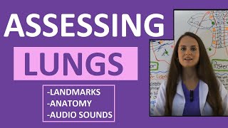 Lung Auscultation Landmarks Sounds Placement Nursing  Assessing Lungs Part 1 [upl. by Fredie]